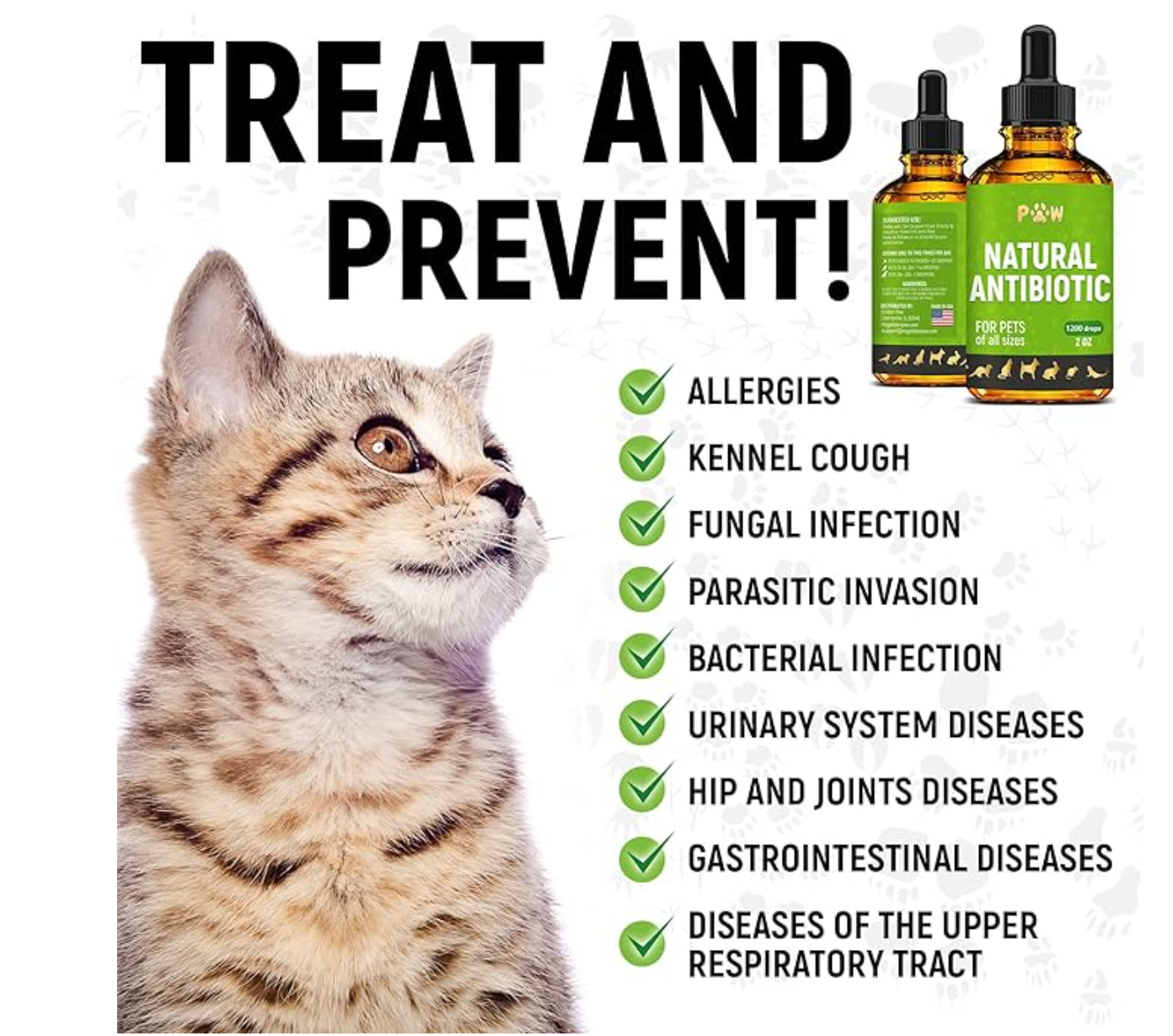 Cat scratch disease treatment best sale