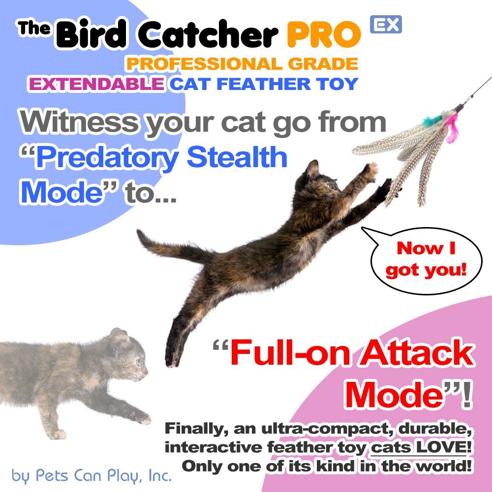 The Bird Catcher Pro EX Pita Cat Reviews